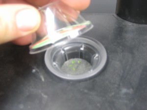 Aerogarden Mint